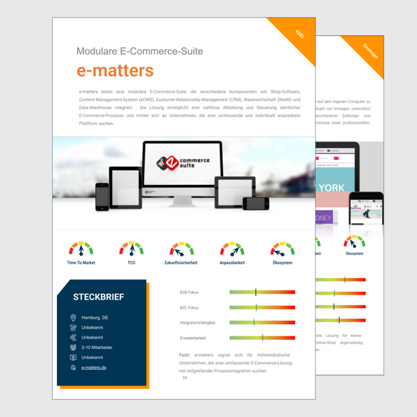 Der-große-E-Commerce-Systemvergleich-Vorschau-1