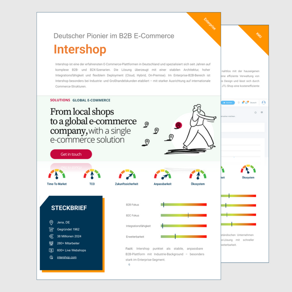 Der-große-E-Commerce-Systemvergleich-Vorschau-2