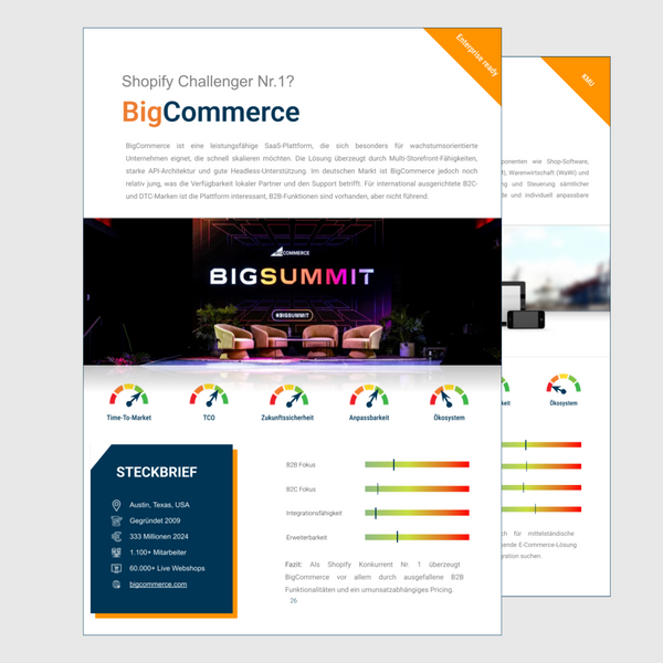 Der-große-E-Commerce-Systemvergleich-Vorschau-3