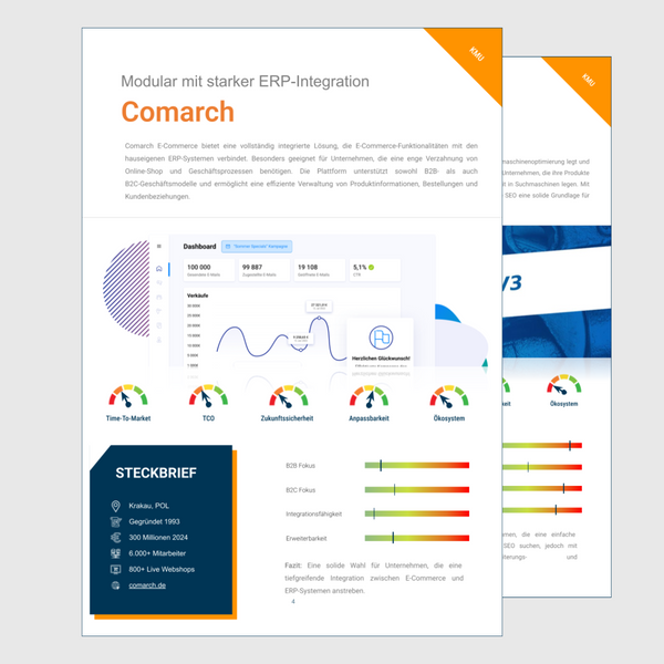 Der-große-E-Commerce-Systemvergleich-Vorschau-5