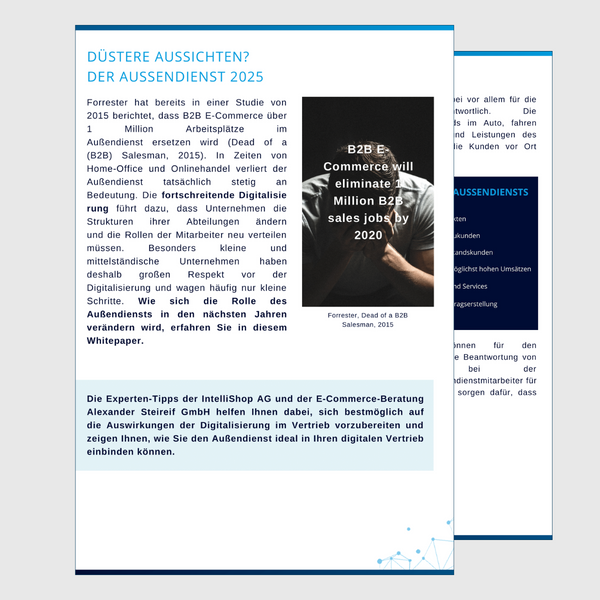 Die-Rolle-des-Außendienstes-Vorschau-3