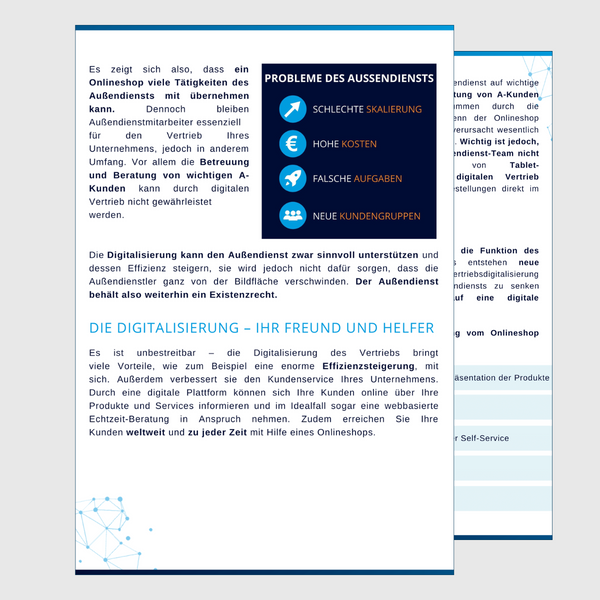 Die-Rolle-des-Außendienstes-Vorschau-5