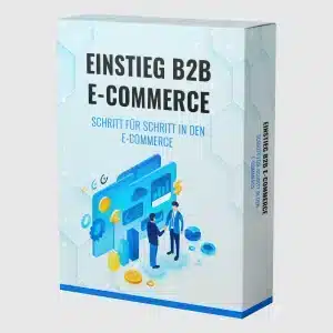 Einstieg B2B E-Commerce - Schritt für Schritt in den E-Commerce